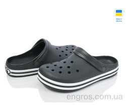 Кроксы Golden Lion